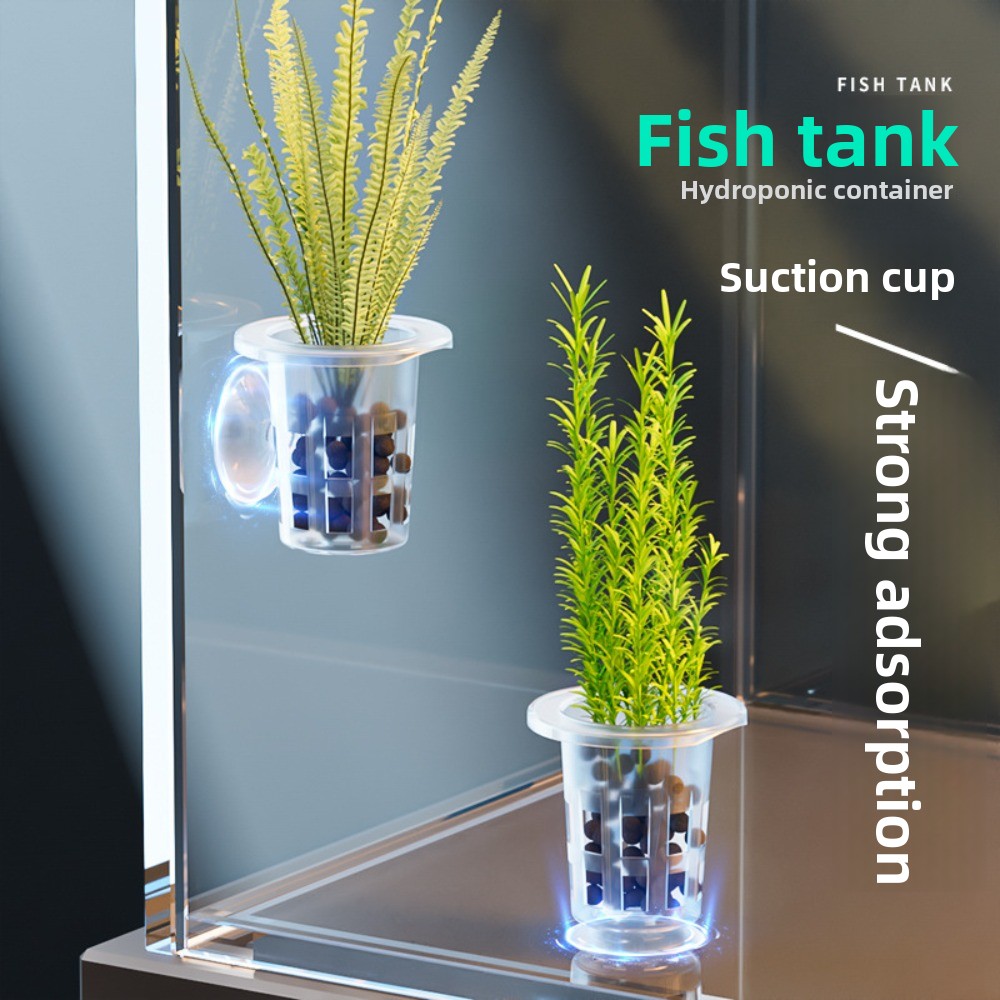 Hydroponic Grow Pod - 10 adet şeffaf bitki topraksız saksı