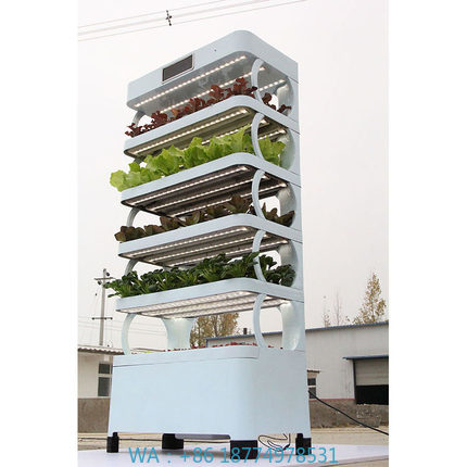 Smart Garden In Home - Evde Hidroponik Yetiştirme Sistemleri Yeni Gelen