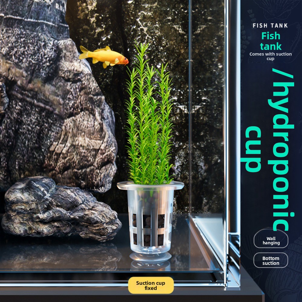 10 adet şeffaf bitki topraksız - Hydroponic Grow Pod incelemesi ve fiyatı