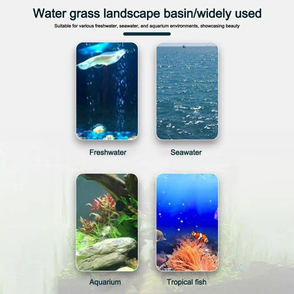 10 adet şeffaf bitki topraksız - Hydroponic Grow Pod incelemesi ve fiyatı