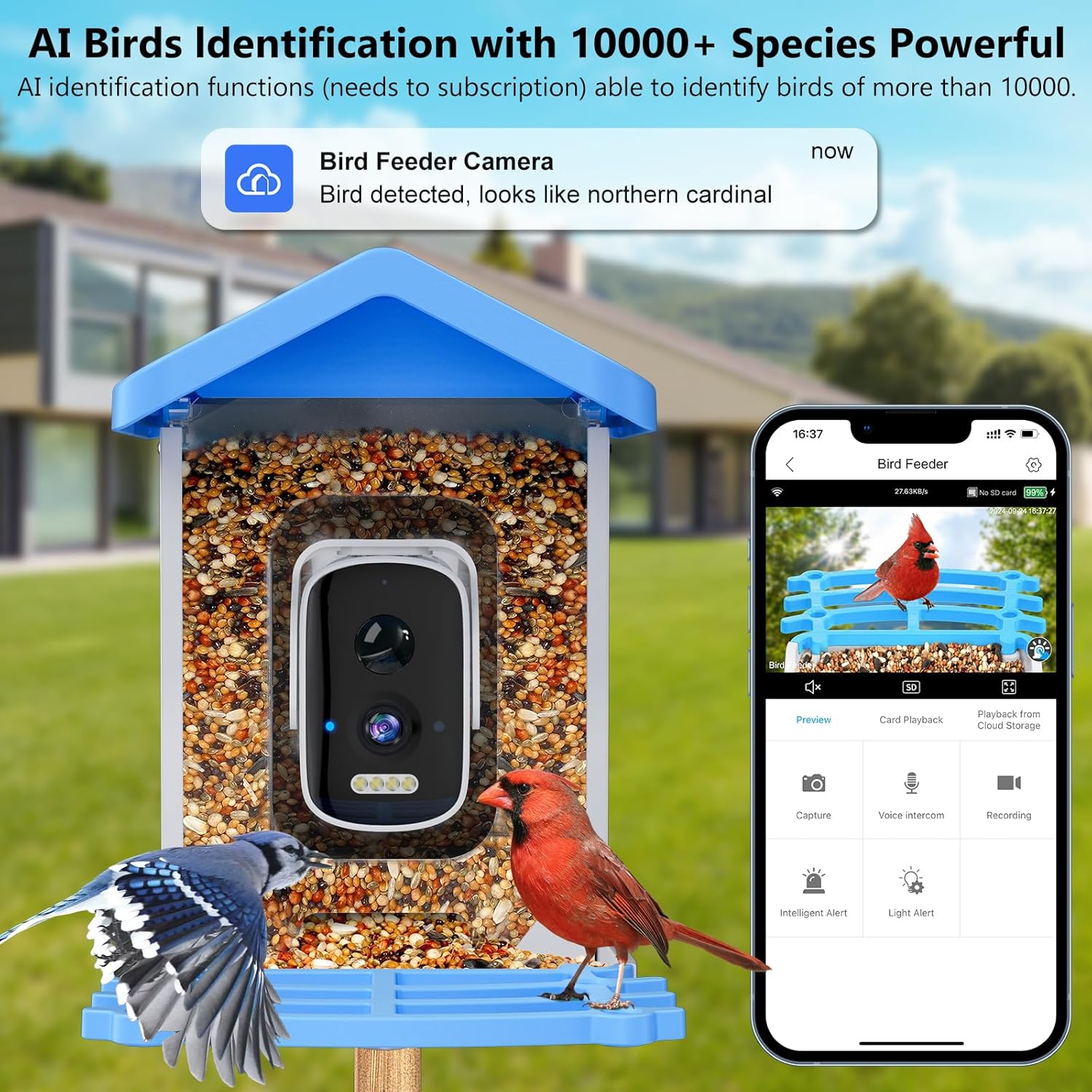 Kamera, Yapay Zeka Kuş Türleri - Smart Garden Ai incelemesi ve fiyatı