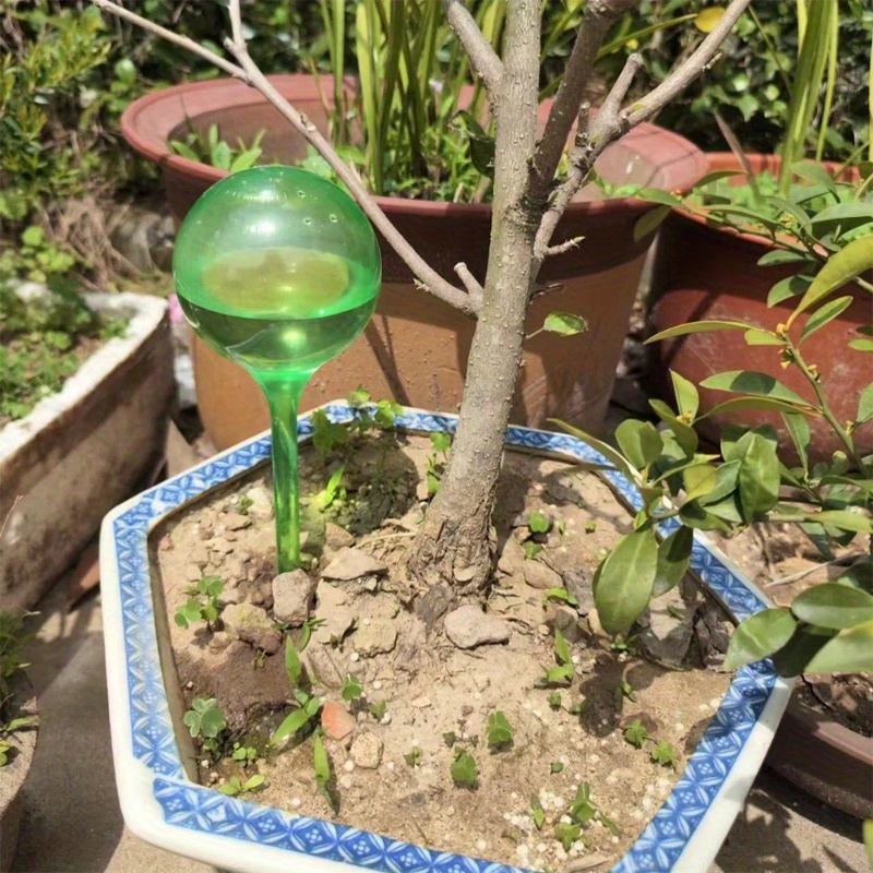 6 adet iç mekan bitkileri kend - Smart Garden Herb incelemesi ve fiyatı