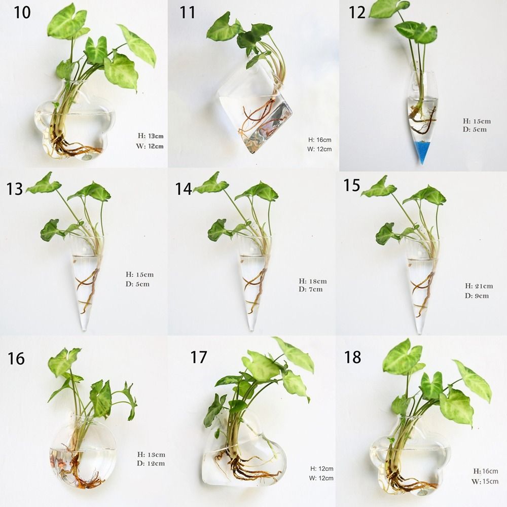 Hidroponik Bitkiler Ev Balık T - Hydroponic Grow Pod incelemesi ve fiyatı