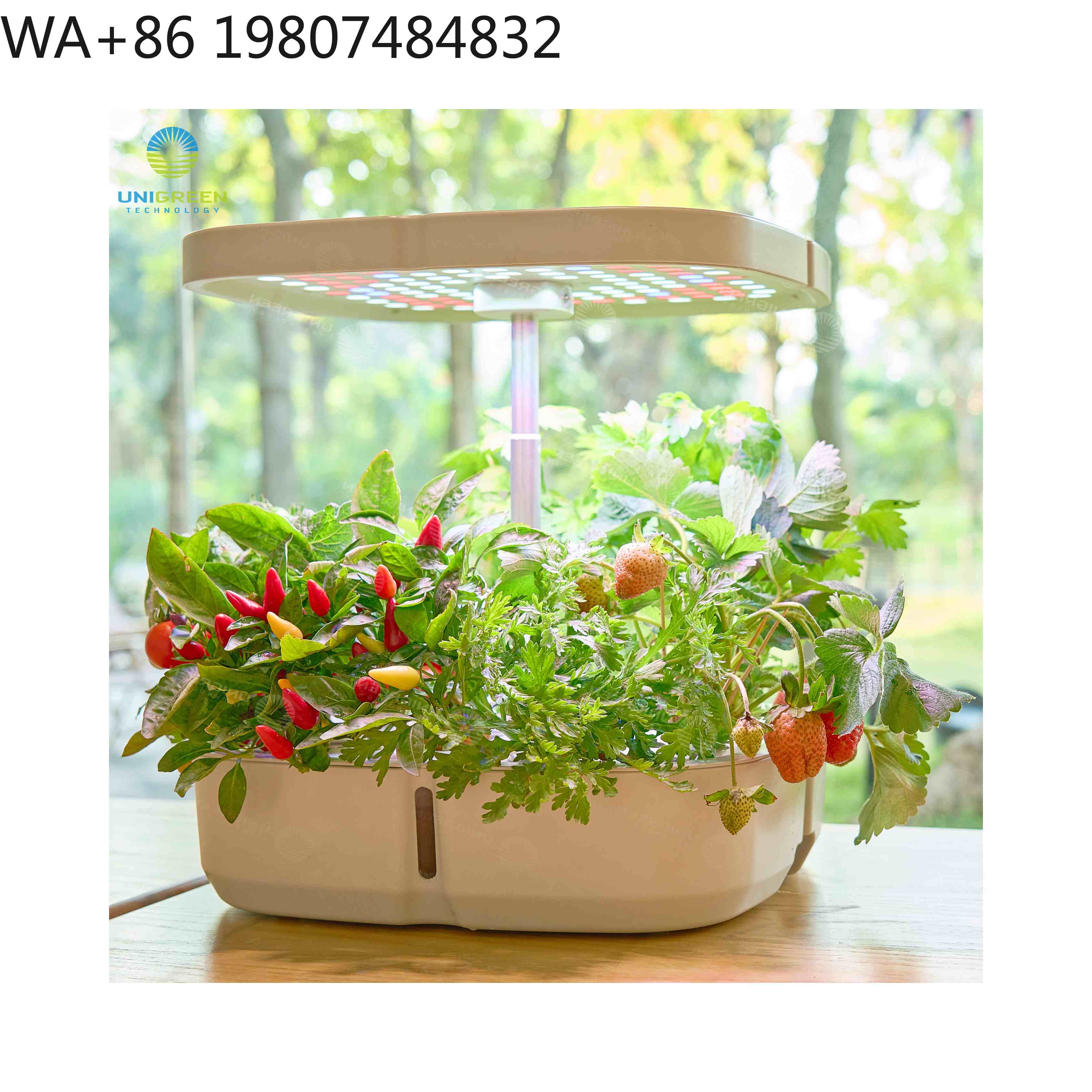 8 Bölmeli Mini Hidroponik Yeti - Hydroponic Grow Pod incelemesi ve fiyatı