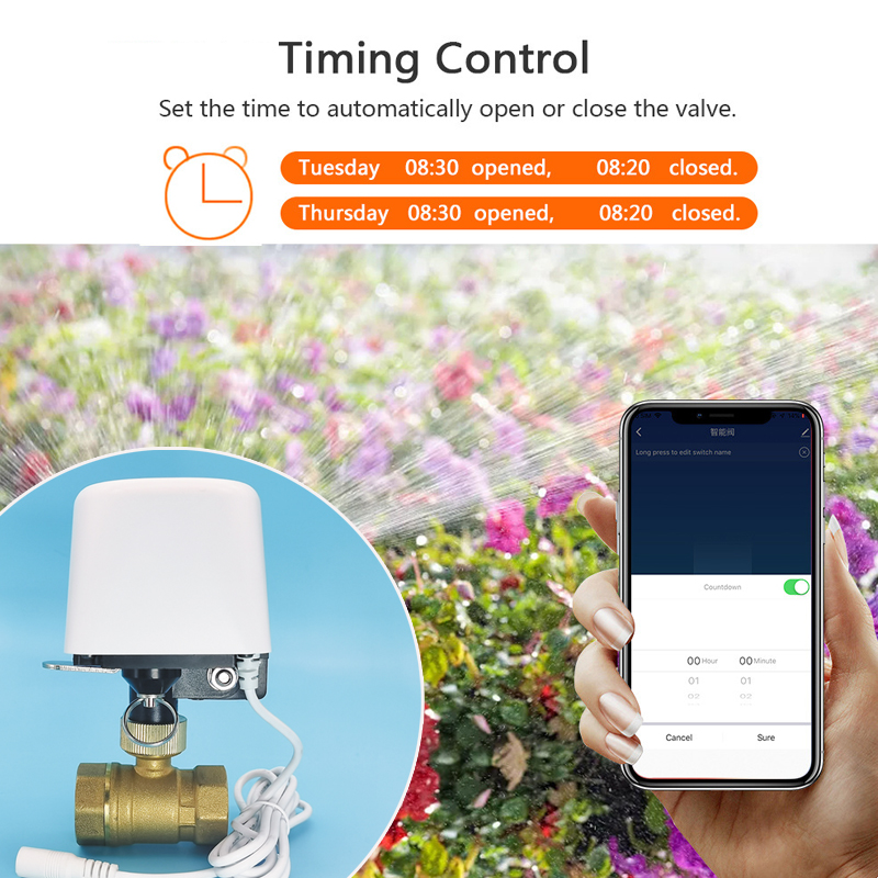 Akıllı Tuya WiFi Zigbee Su Van - Smart Garden Home Assistant incelemesi ve fiyatı