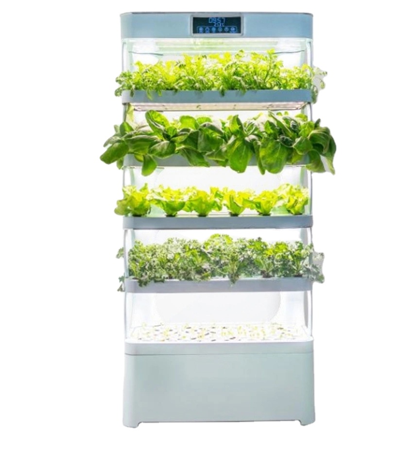 Evde Hidroponik Yetiştirme Sis - Smart Garden In Home incelemesi ve fiyatı