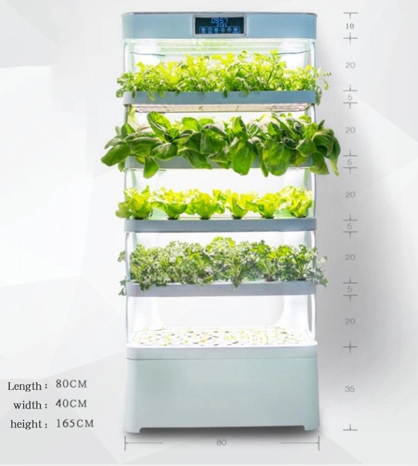 Evde Hidroponik Yetiştirme Sis - Smart Garden In Home incelemesi ve fiyatı
