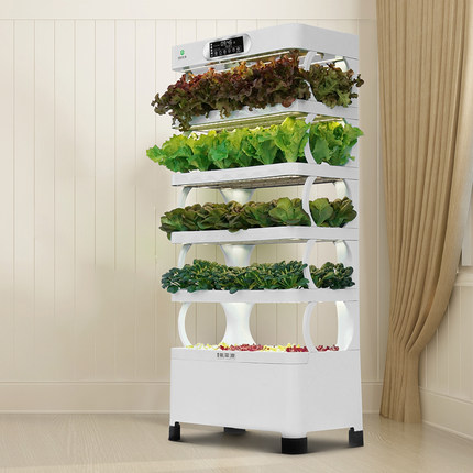 Evde Hidroponik Yetiştirme Sis - Smart Garden In Home incelemesi ve fiyatı