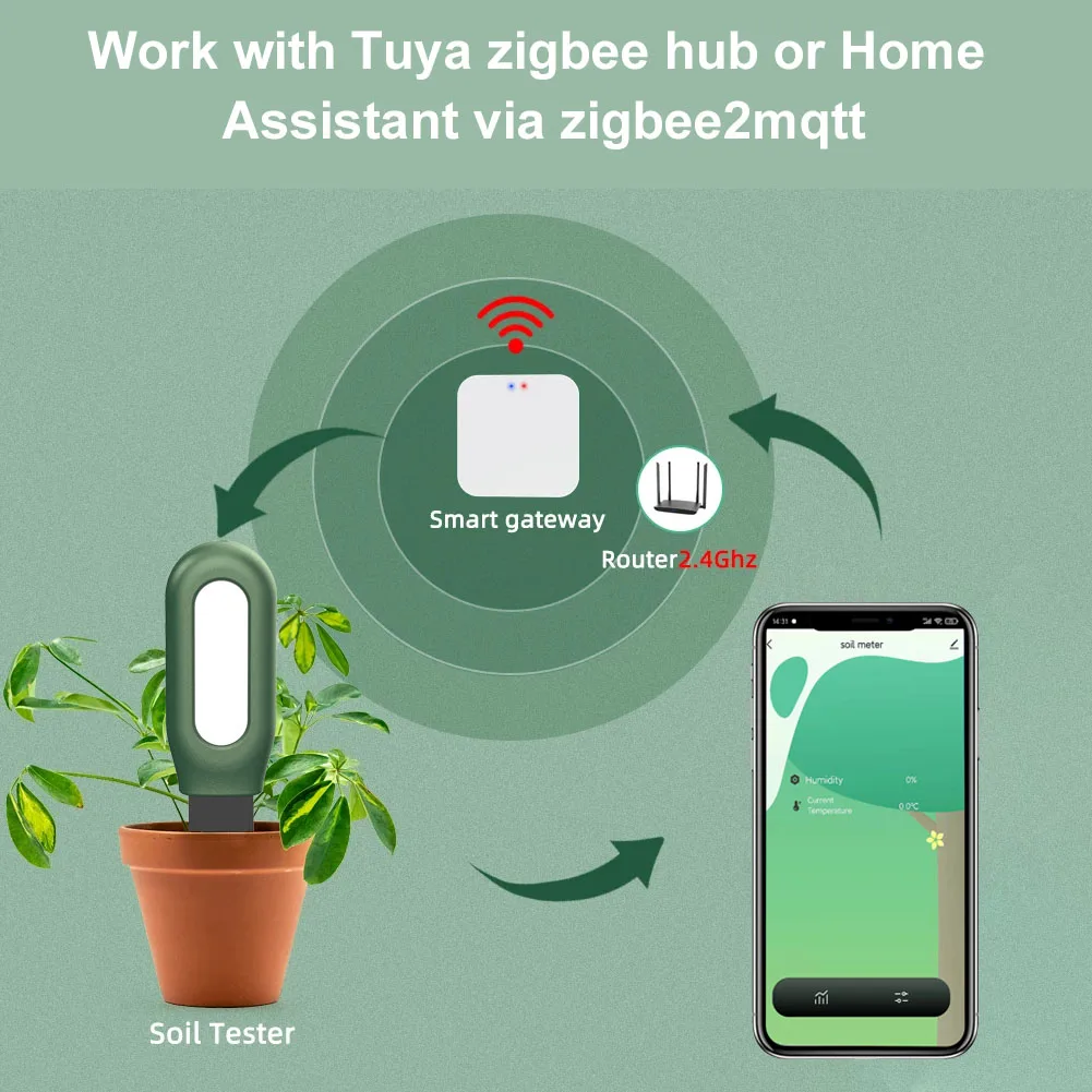 Akıllı Zigbee Toprak Test Ciha - Smart Garden Zigbee incelemesi ve fiyatı