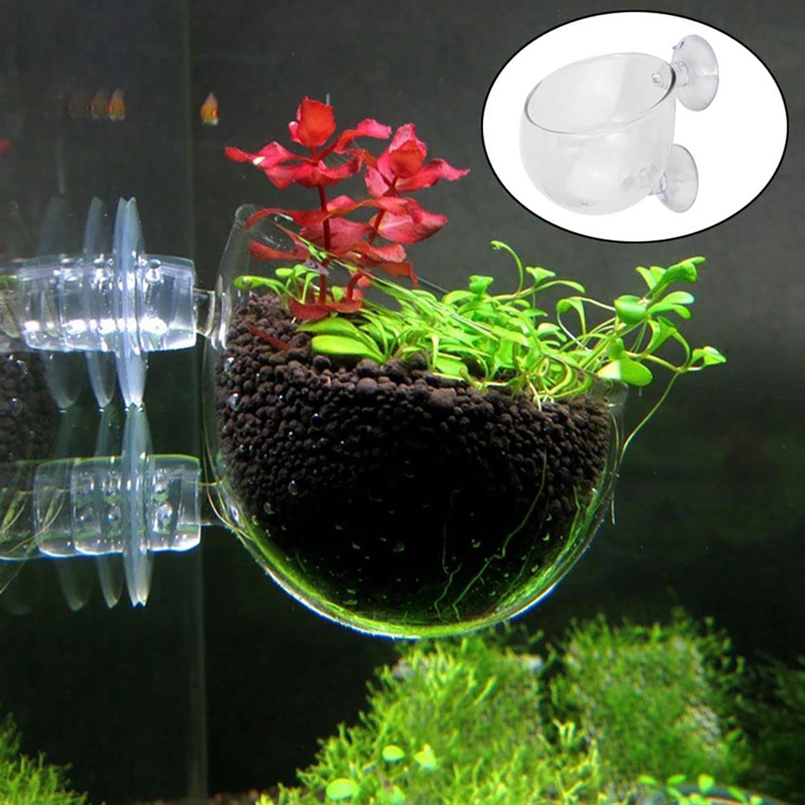 Su Bitkisi Saksısı Şeffaf Akri - Hydroponic Grow Pod incelemesi ve fiyatı