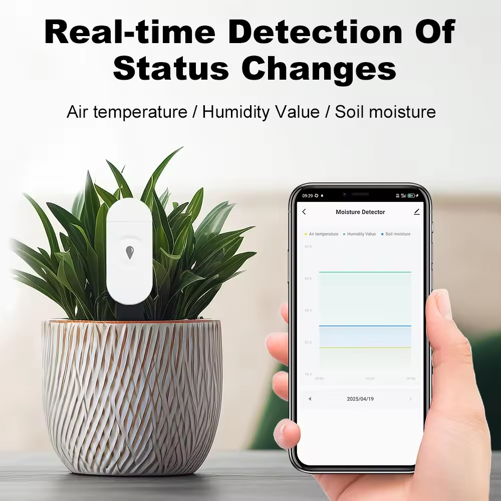 Tuya Zigbee Sıcaklık Nem Dedek - Smart Garden Zigbee incelemesi ve fiyatı