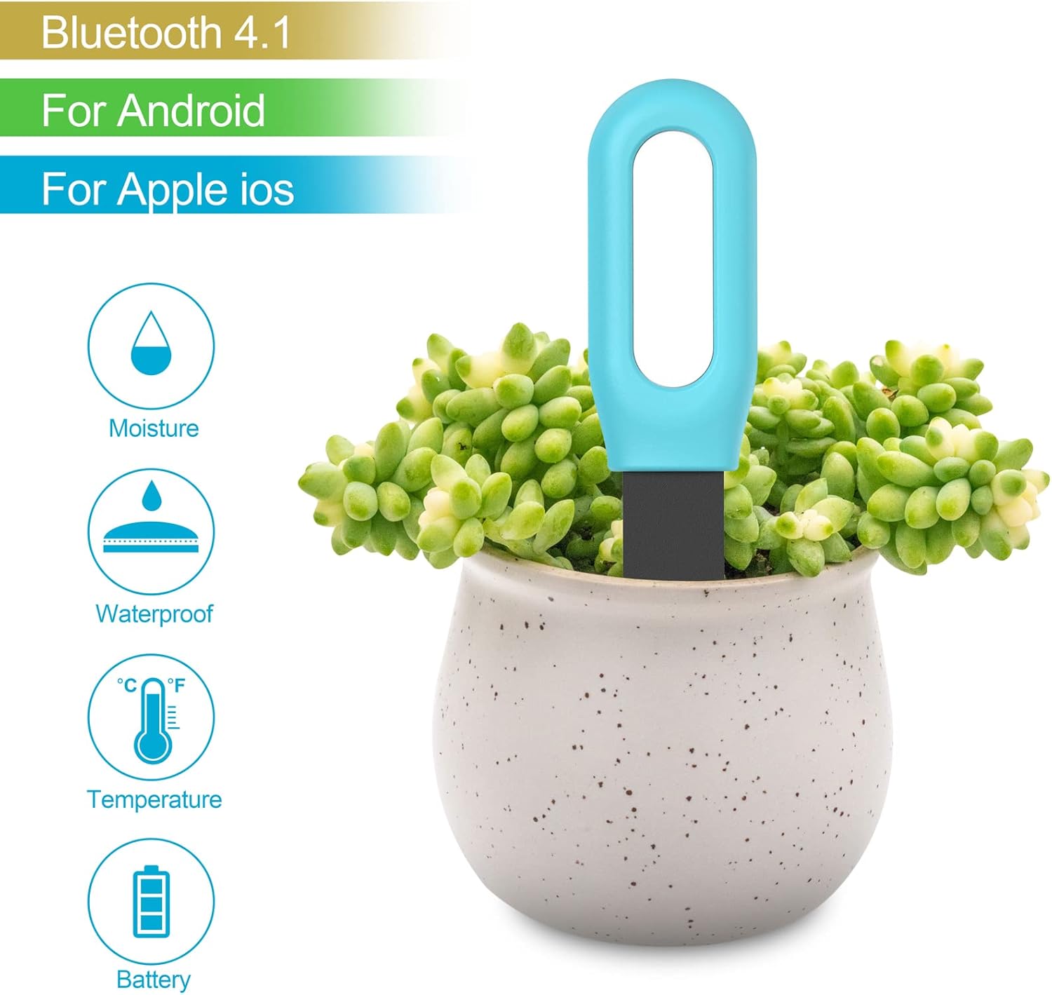 Tuya Bluetooth Zigbee Akıllı T - Smart Garden Zigbee incelemesi ve fiyatı