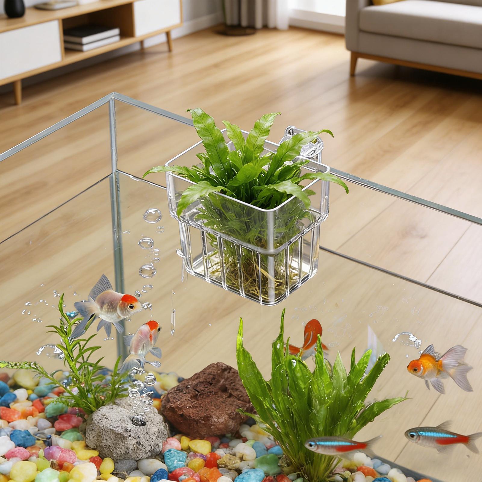 Akvaryum Şeffaf Askı Potu Asıl - Hydroponic Grow Pod incelemesi ve fiyatı