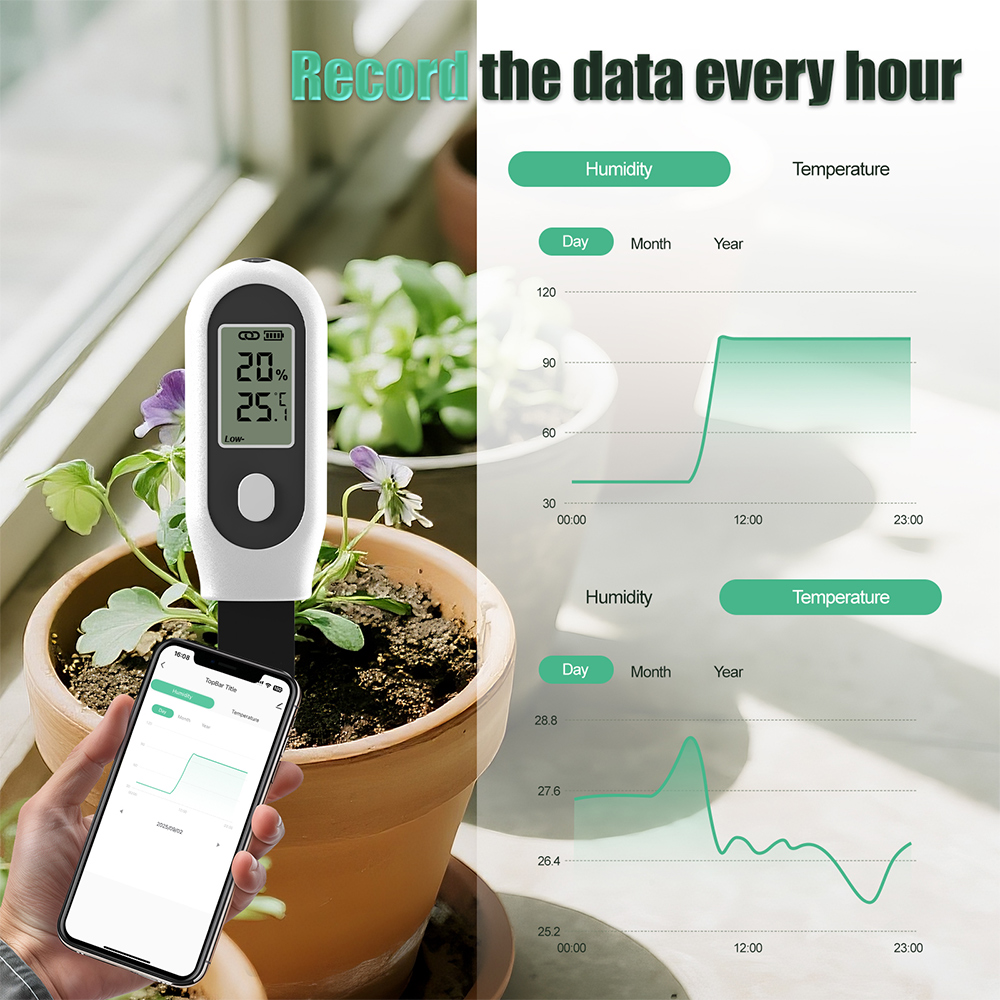 Tuya Zigbee 3'ü 1 Arada Toprak - Smart Garden Home Assistant incelemesi ve fiyatı