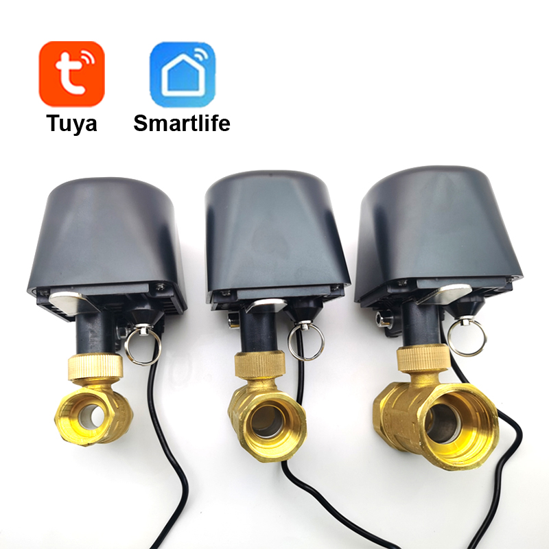 Tuya WiFi veya Zigbee Su Vanas - Smart Garden Timer incelemesi ve fiyatı